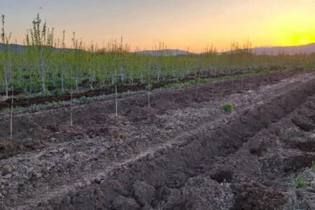 ایمن‌سازی ۱۰ نقطه حادثه‌خیز در جاده‌های ملایر؛ گامی مؤثر برای کاهش تصادفات