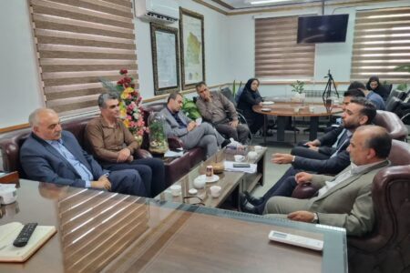 تبدیل روستای ماهنیان به قطب‌ تولید قطعات لاستیکی خودرو در استان همدان