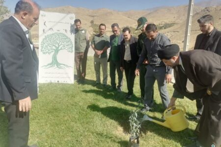 اجرای پویش نهالکاری «سلامت و تندرستی» در استان همدان