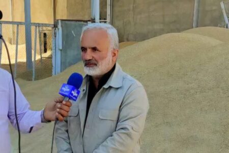 پرداخت کامل مطالبات گندم‌کاران استان همدان