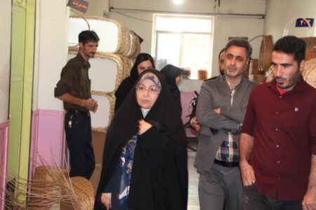 اختصاص ردیف اعتباری ویژه زنان روستایی و عشایری/هدفگذاری ایجاد ۵۰۰ روستا بازا