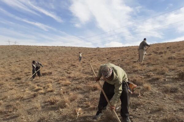 آغاز پروژه بیولوژیک اصلاح و احیای مراتع در روستای روان شهرستان بهار