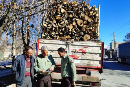 بازدید از کارگاه‌های چوب‌بری ، مراکز دپوی چوب و ایست و بازرسی محمولات فرعی جنگلی و مرتعی در ملایر  