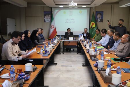 مدیریت ۳۵ مگاواتی پیک بار با اجرای طرح «مهتاب» در همدان